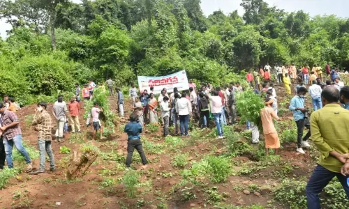 AP Police Started Operation Green Ganja Hunt in East Godavari | AP Latest News