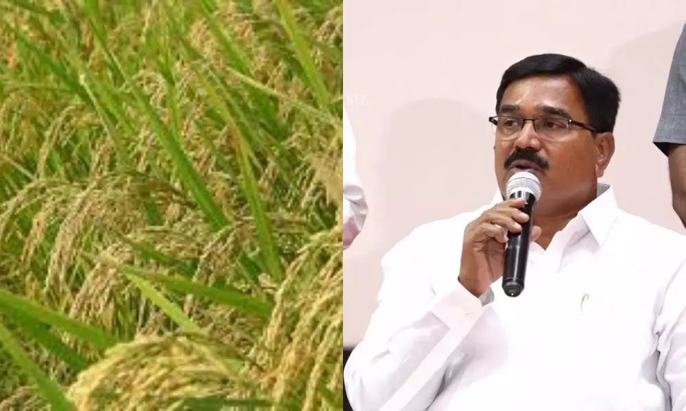 Agriculture Minister Niranjan Reddy has advised Farmers not to Plant Paddy Crop in Yasangi