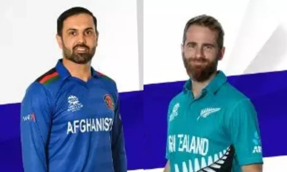 Afghanistan Vs New Zealand Match Today T20 World Cup 2021 | Cricket News Today