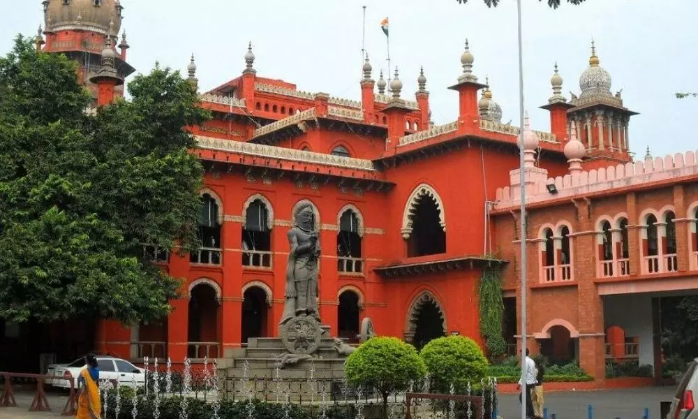 High Court Serious On Chennai Municipal Corporation