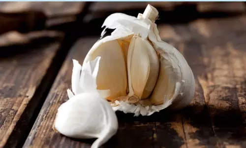 Garlic is a Divine Medicine for Winter Health Problems