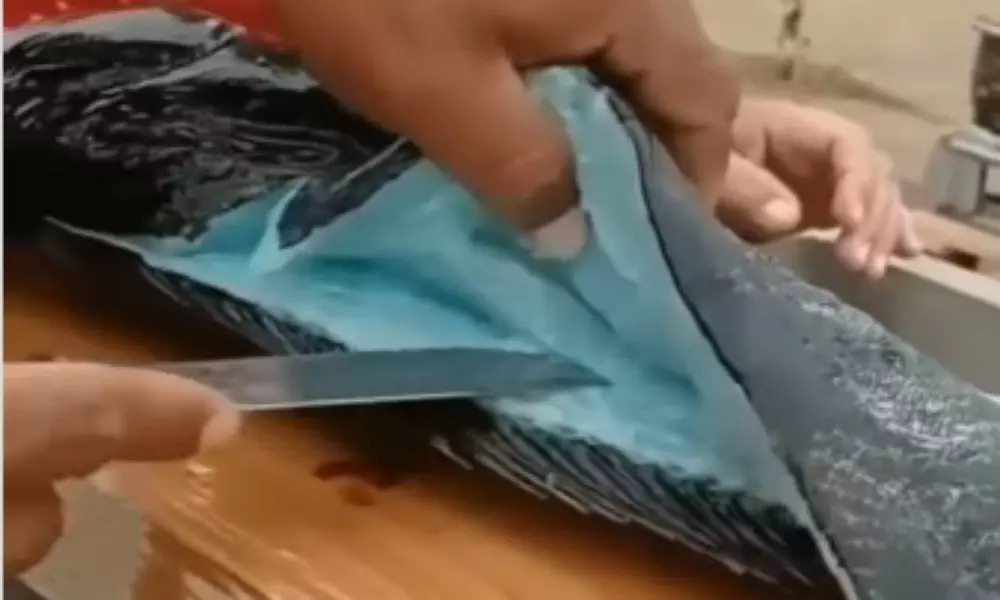 Everyone is Shocked to See This Fish Meat Viral Video