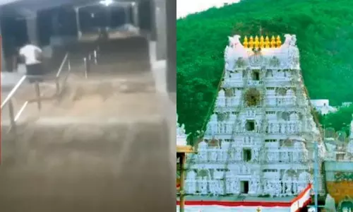 Tirumala: తిరుమల శ్రీనివాసుడి కొండపై కుంభవృష్టి