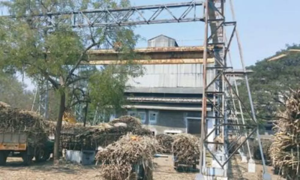 Farmers Demand to Open the Bheemasingi sugar Factory