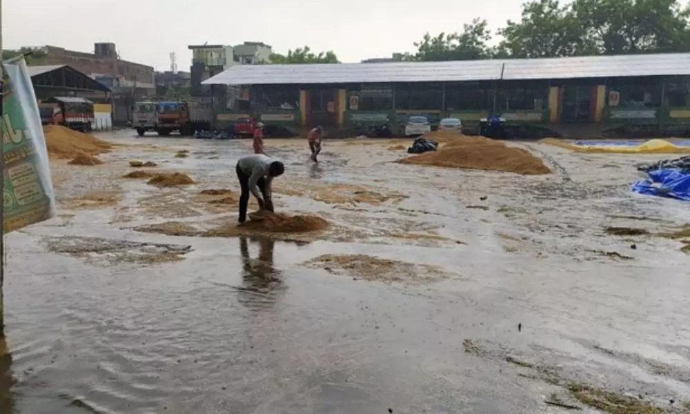 Paddy Grain Washed Away at Ganj Market Yard due to Heavy Rains in Kamareddy