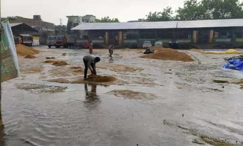 Paddy Grain Washed Away at Ganj Market Yard due to Heavy Rains in Kamareddy Paddy Grain Washed Away at Ganj Market Yard due to Heavy Rains in Kamareddy