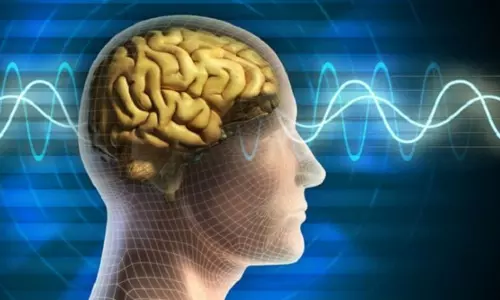 These Five Foods can Lower your Memory