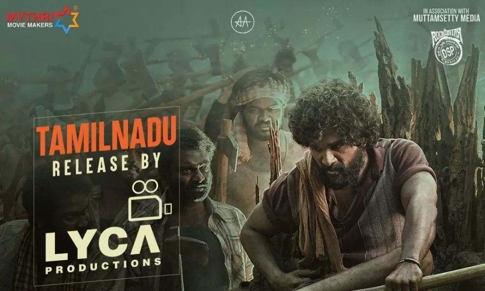 Lyca Production Company Grab the Pushpa Movie Tamil Rights