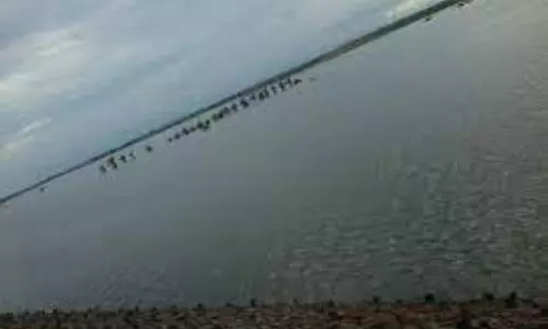 Jeedipalli Reservoir is at Risk of Flooding in Anantapuram District Jeedipalli Reservoir is at Risk of Flooding in Anantapuram District