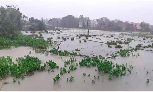Heavy Crop Loss in Telugu States Due to Rains