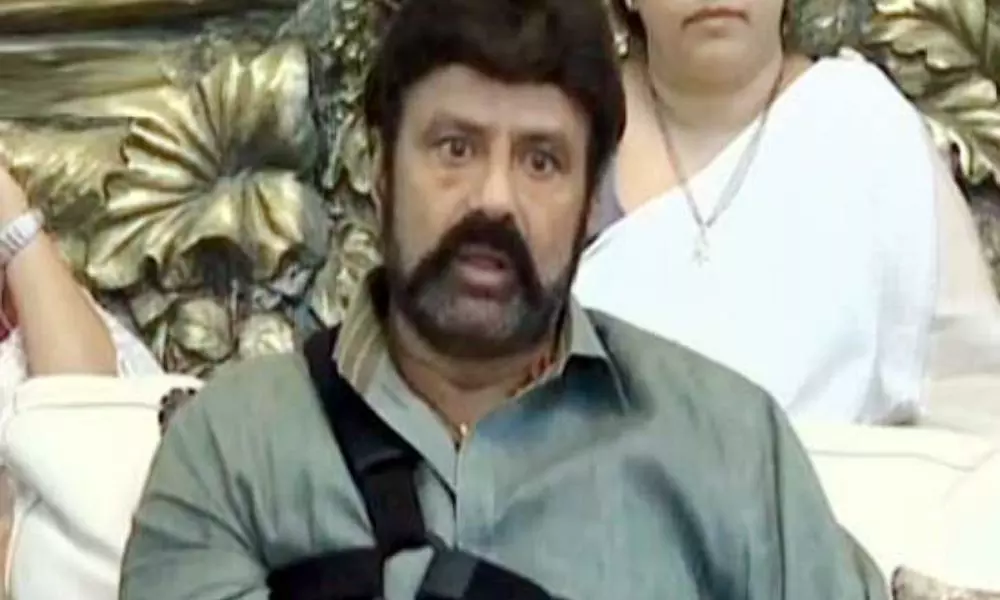Balakrishna Fires on YSRCP Leaders About Issue of Chandrababu