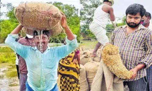Paddy Grains were Completely Drained at Grain Purchasing Centre due to Heavy Rains in Peddhapalli Paddy Grains were Completely Drained at Grain Purchasing Centre due to Heavy Rains in Peddhapalli