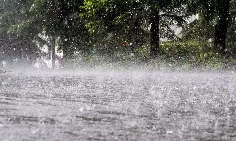 Meteorological Department Announced Rain Alert in Andhra Pradesh