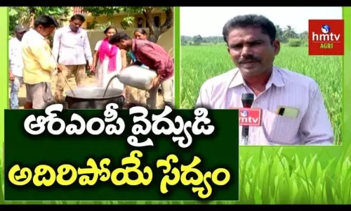 Success Story Of  RMP Doctor Tirupathi Rao Over Natural Farming