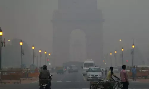 Decreasing the Air Pollution in Delhi Decreasing the Air Pollution in Delhi