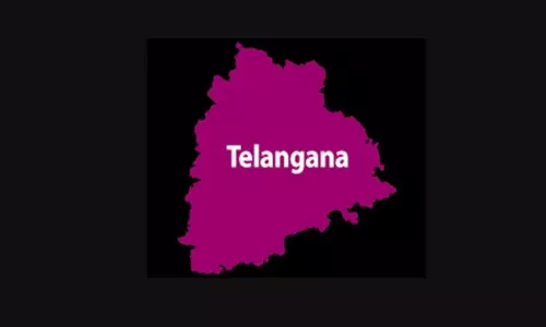 Telangana Government has Speedup the Process of Giving Promotions to Employees in District Wise and Zonal Wise