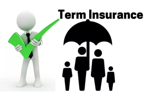 Are you Taking Term Insurance Know These things for Sure Are you Taking Term Insurance Know These things for Sure