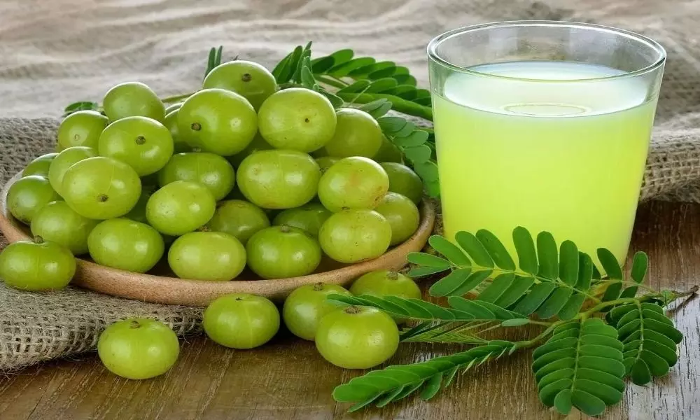 Amla Juice is a Great Solution to the five Health Problems that Come with Winter
