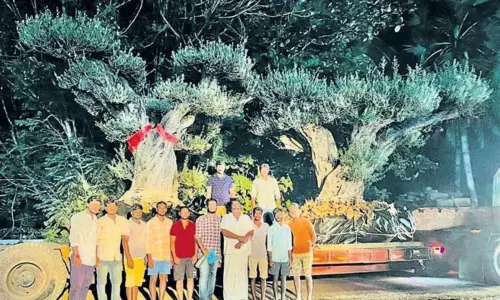 Kadiyam Trees to Mukesh Ambani House