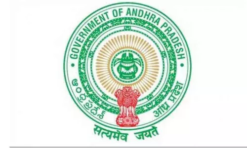 Cag Alleges that AP Government is Acting Arbitrarily by Depriving the Legislature of Control Over the Budget