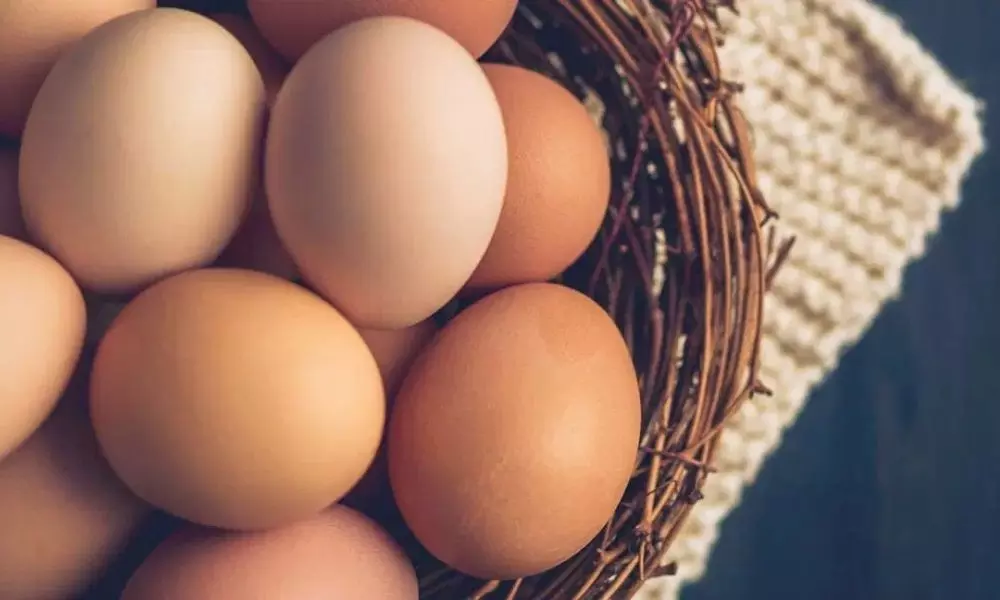 How Many Eggs a day is Good for Health Find Out