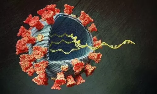 Coronavirus New Variant Tension to South Africa