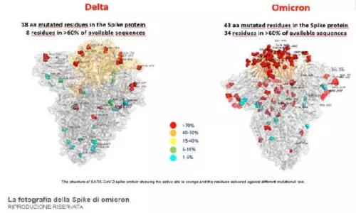 First Picture of Omicron Covid Variant