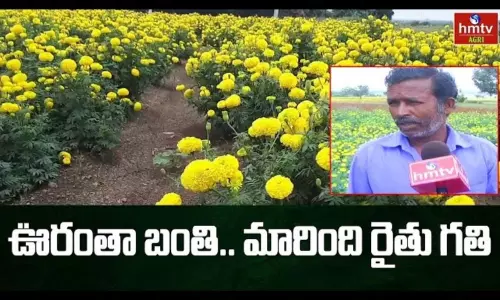 Mahbubnagar District Farmers in Floriculture