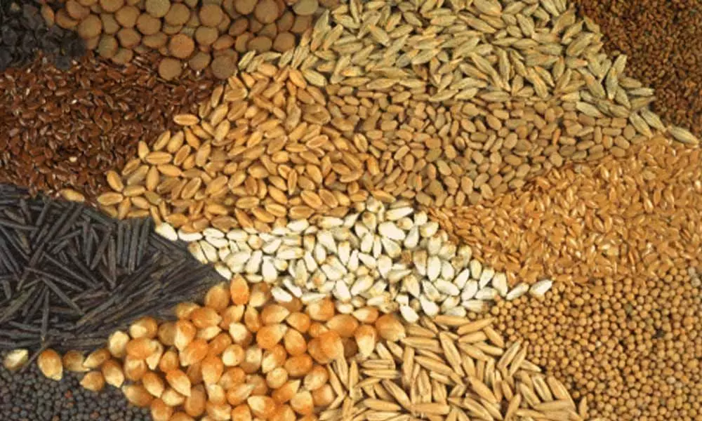 The Central Government Has Issued a clear Statement on Telangana Grain Procurement