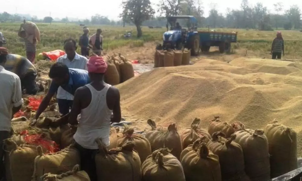 Central Government Releases Statement on Paddy Procurement From Telangana