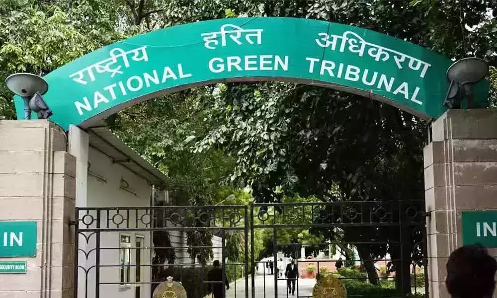 National Green Tribunal Fine TO AP government Over Polavaram Project