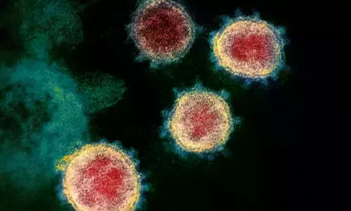 Fifth Omicron Variant Case Registered in Delhi