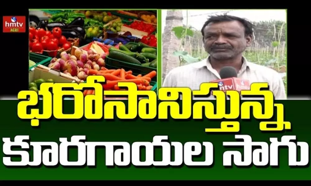 Medak Farmers Vegetable Farming Success Story