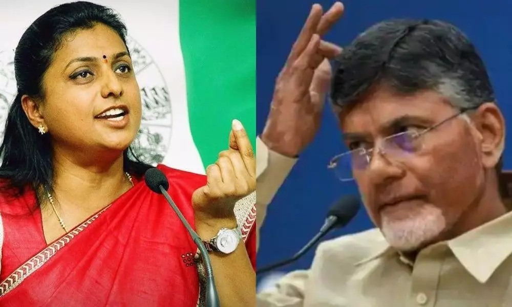 MLA Roja Fires on Chandrababu Naidu about Comments on AP Special Status | AP News Telugu