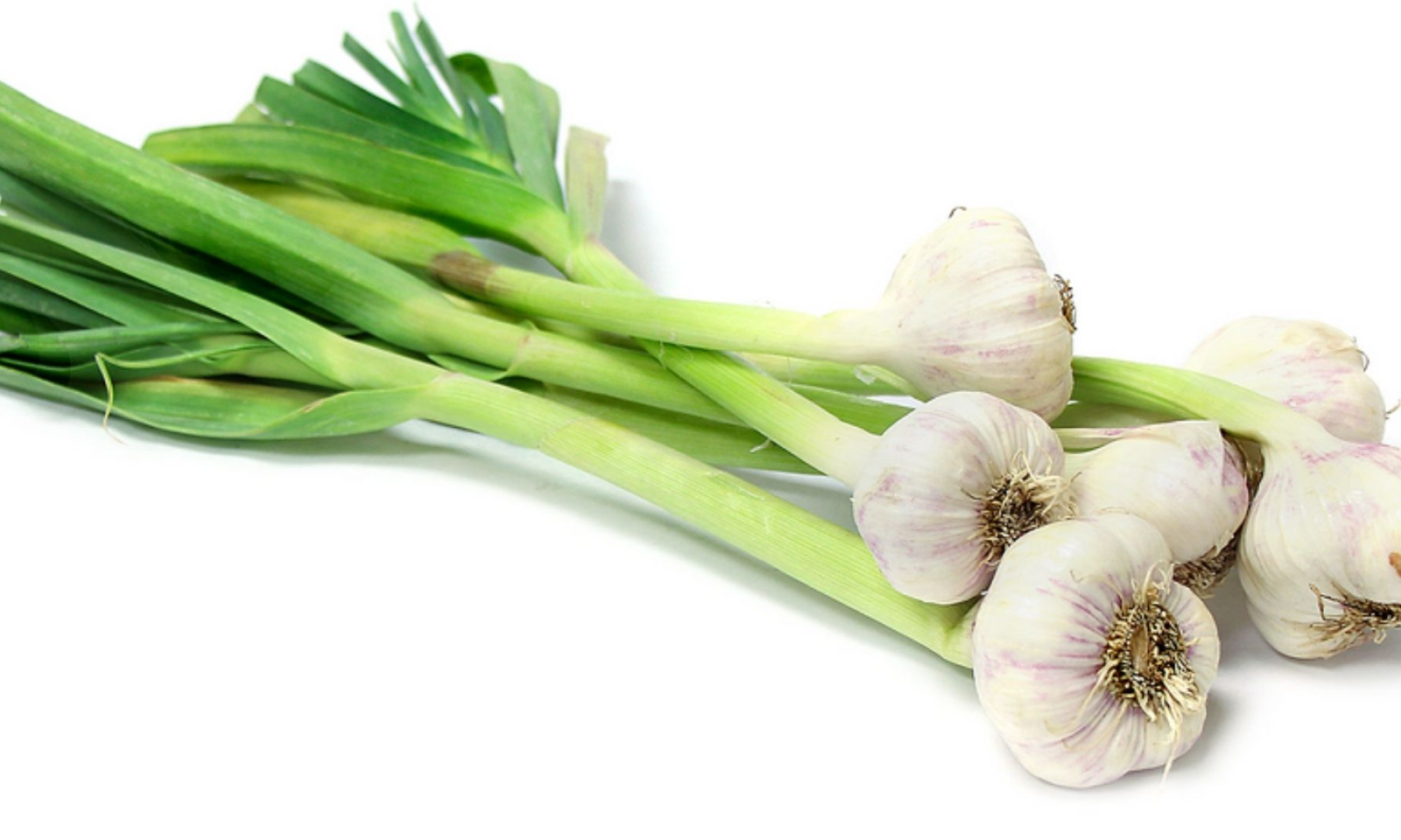 Green Garlic: పచ్చి వెల్లుల్లిలో అద్భుత