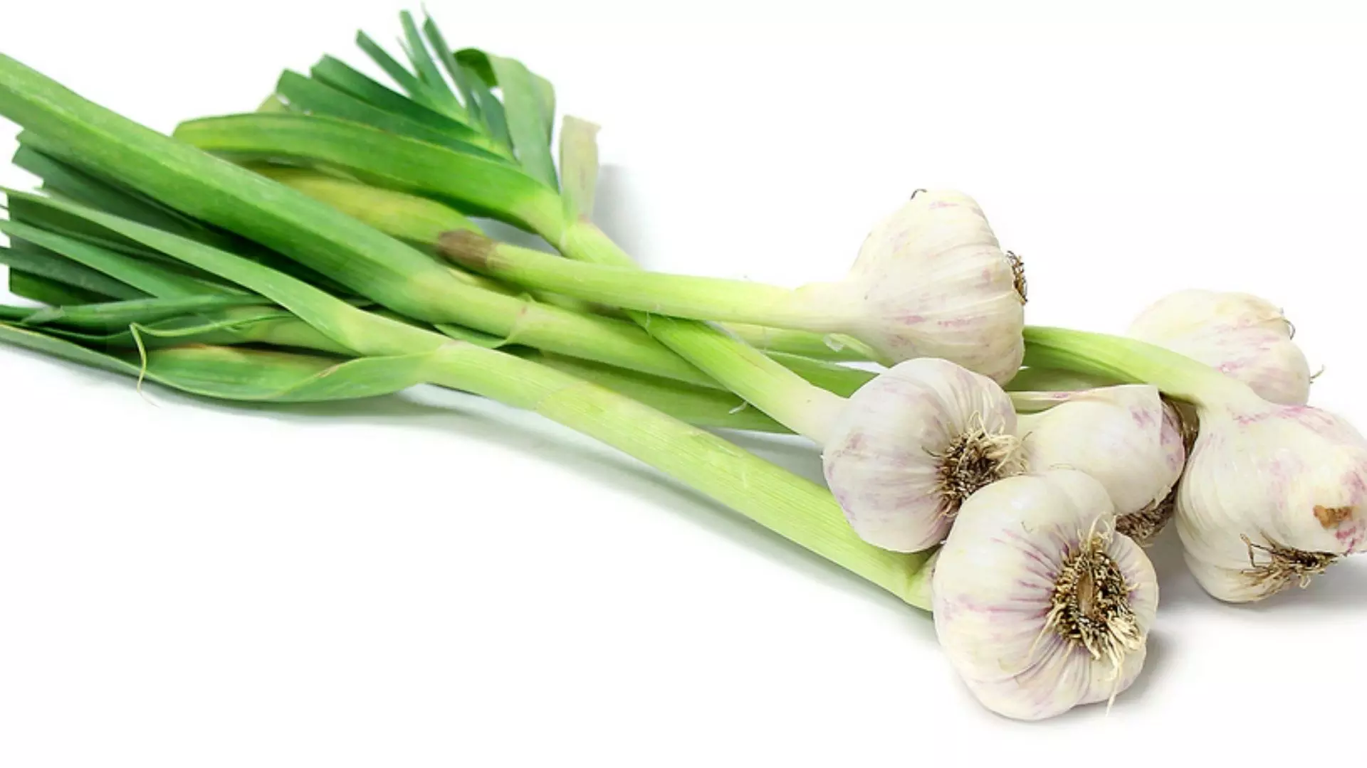 The Amazing Medicinal Properties of Green Garlic are Unique to These Recipes