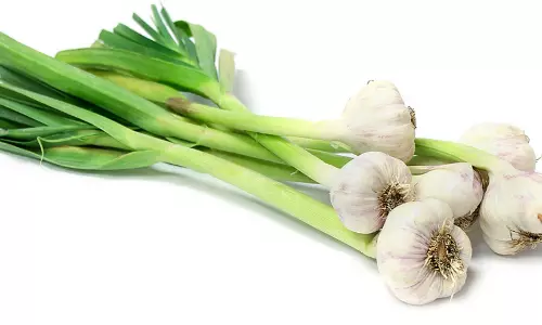 The Amazing Medicinal Properties of Green Garlic are Unique to These Recipes