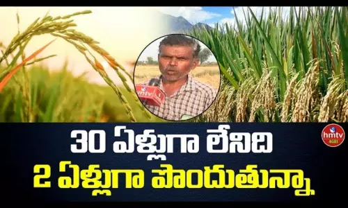 Natural Farming: Farmer Mahmood Afzal Natural Farming Tips Natural Farming: Farmer Mahmood Afzal Natural Farming Tips