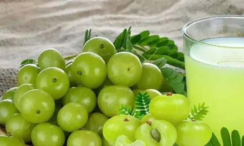 Amla Solves Many Health Problems in Winter If you know the Benefits will not Leave at All | Winter Healthy Food