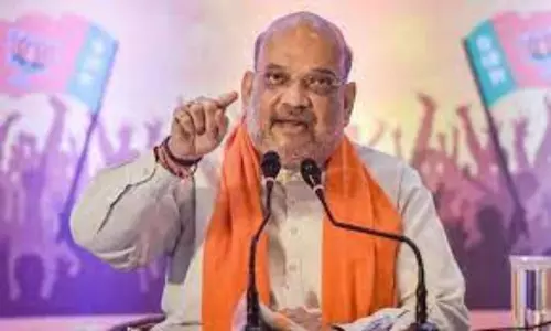 Telangana BJP Leaders to meet Amit Shah