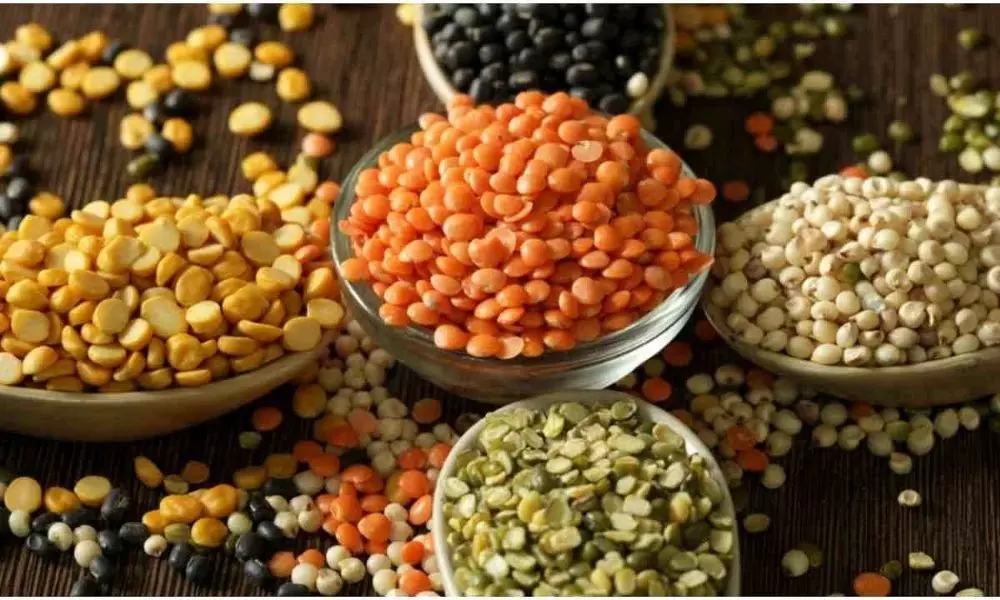 These Four Lentils Should be in the Diet for Protein