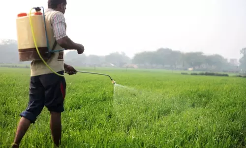 The Government has Banned Streptomycin and Teracycline Pesticides