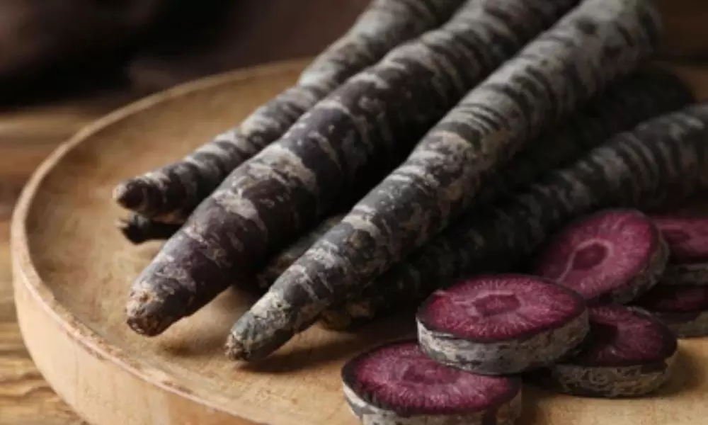 Have You Ever Eaten Black Carrot There are Many Benefits in the Winter | Healthy Food