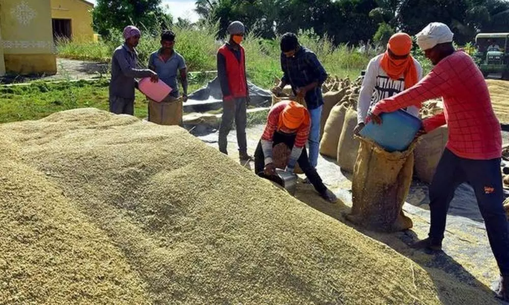 Central Govt Releases Statement On Paddy Procurement