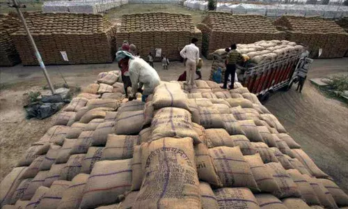 The Central Government will procure 6 lakh metric tonnes of Rice | TS News Today The Central Government will procure 6 lakh metric tonnes of Rice | TS News Today
