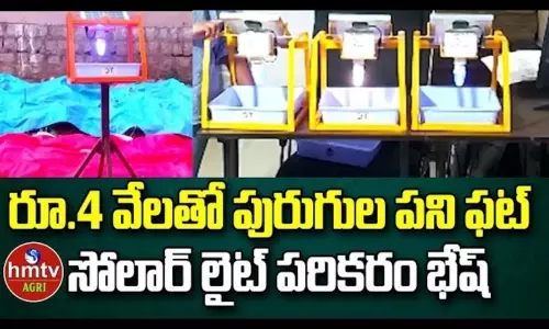 Delta Things Private Limited Provides Solar Insect Trap for Farmers