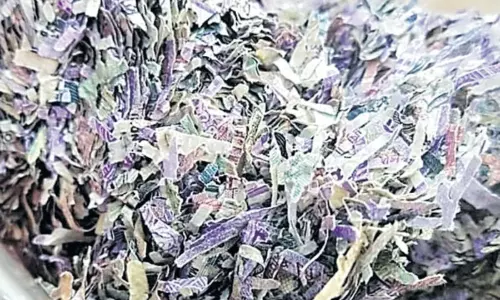 Currency Notes in Nizamabad Bussapur Highway Currency Notes in Nizamabad Bussapur Highway