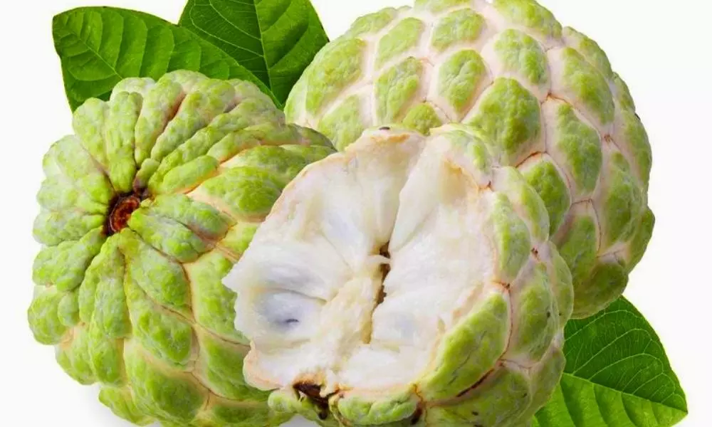Health News Eating Fruit Sugar Apple is Bad For Your Health | Healthy Food Habits