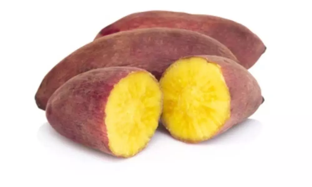 Eating too Much Sweet  Potato can Lead to Many Health Problems