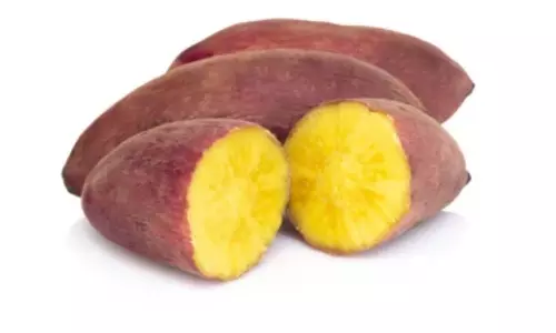 Eating too Much Sweet Potato can Lead to Many Health Problems Eating too Much Sweet Potato can Lead to Many Health Problems